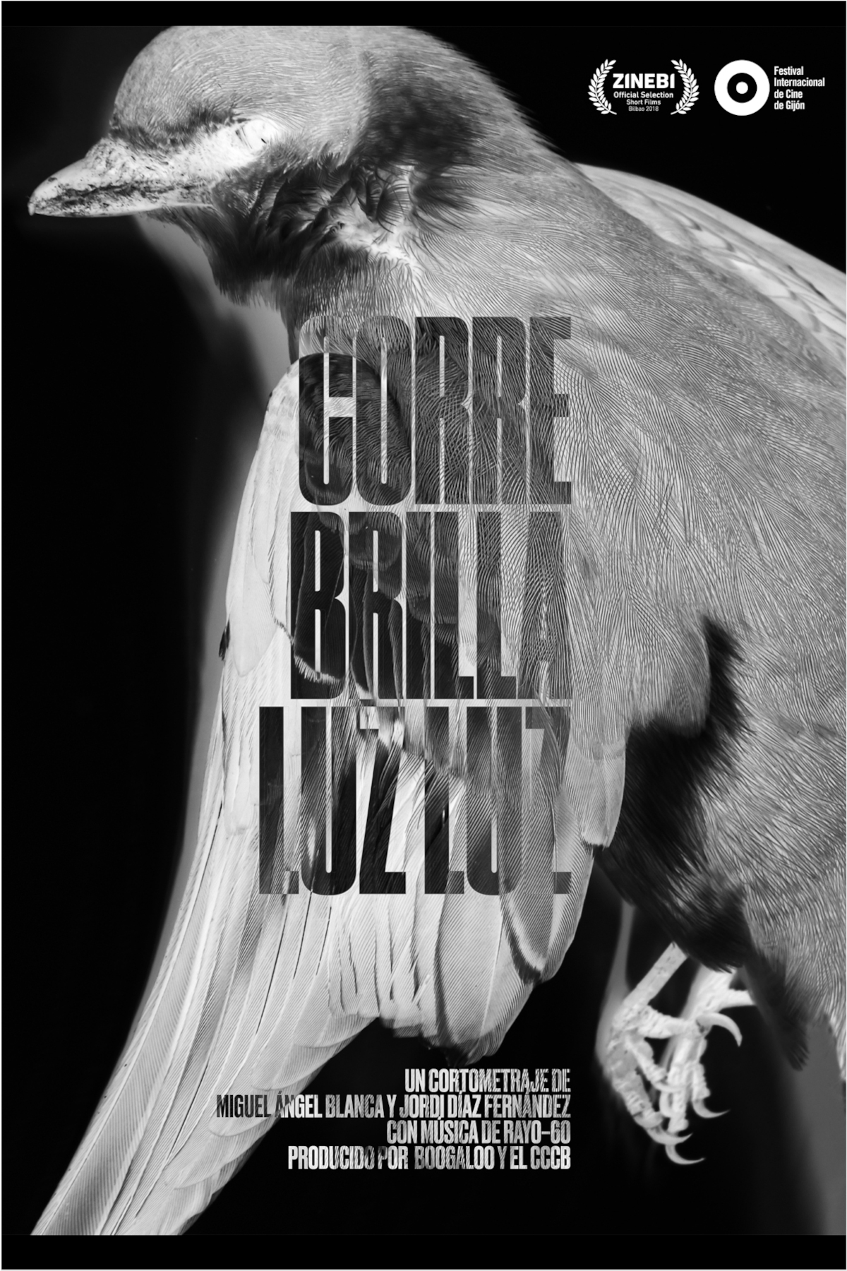 Boogaloo Films - Corre Brilla Luz Luz